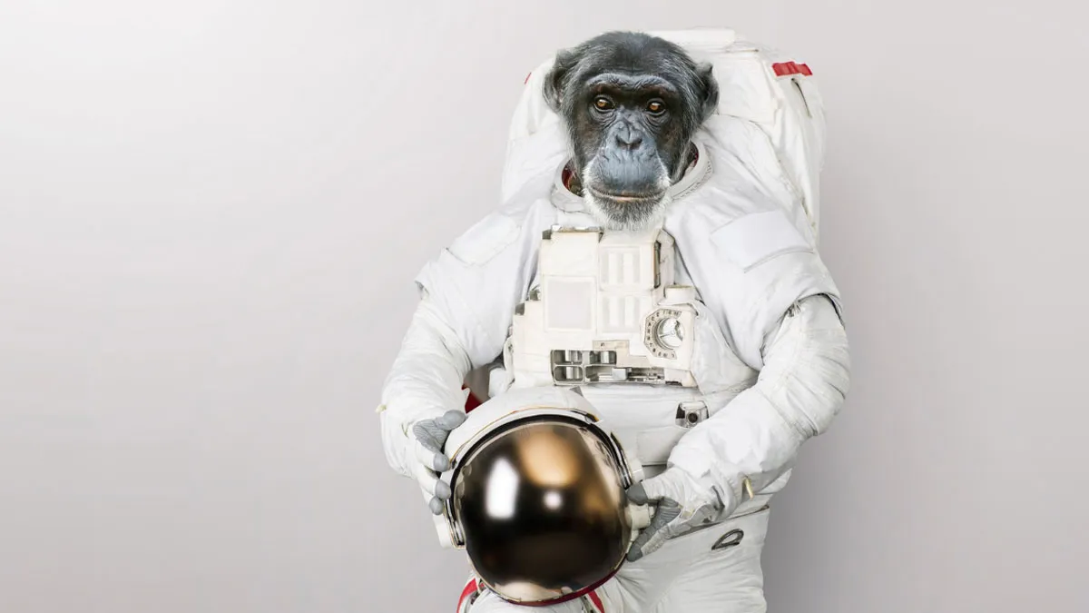 ¿Por qué se tuvo que enviar animales al espacio?