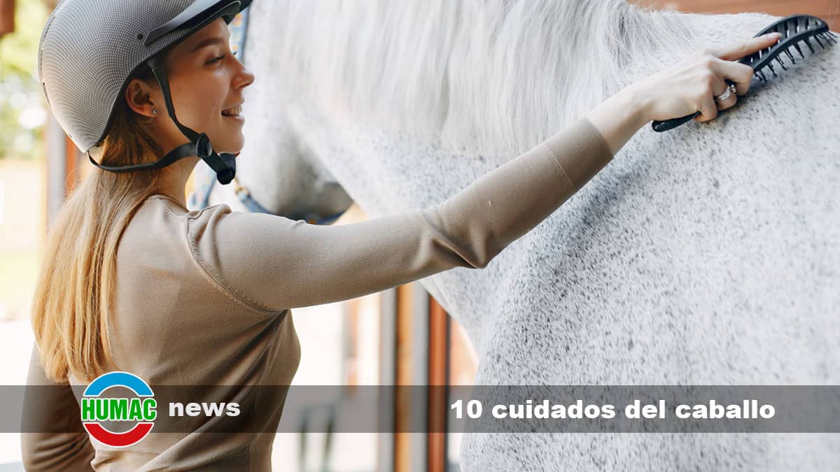 10 cuidados del caballo