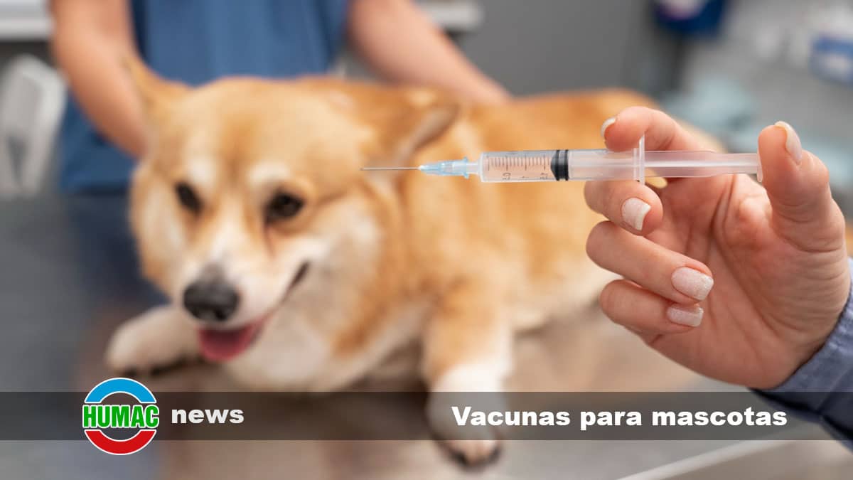 Vacunas para mascotas