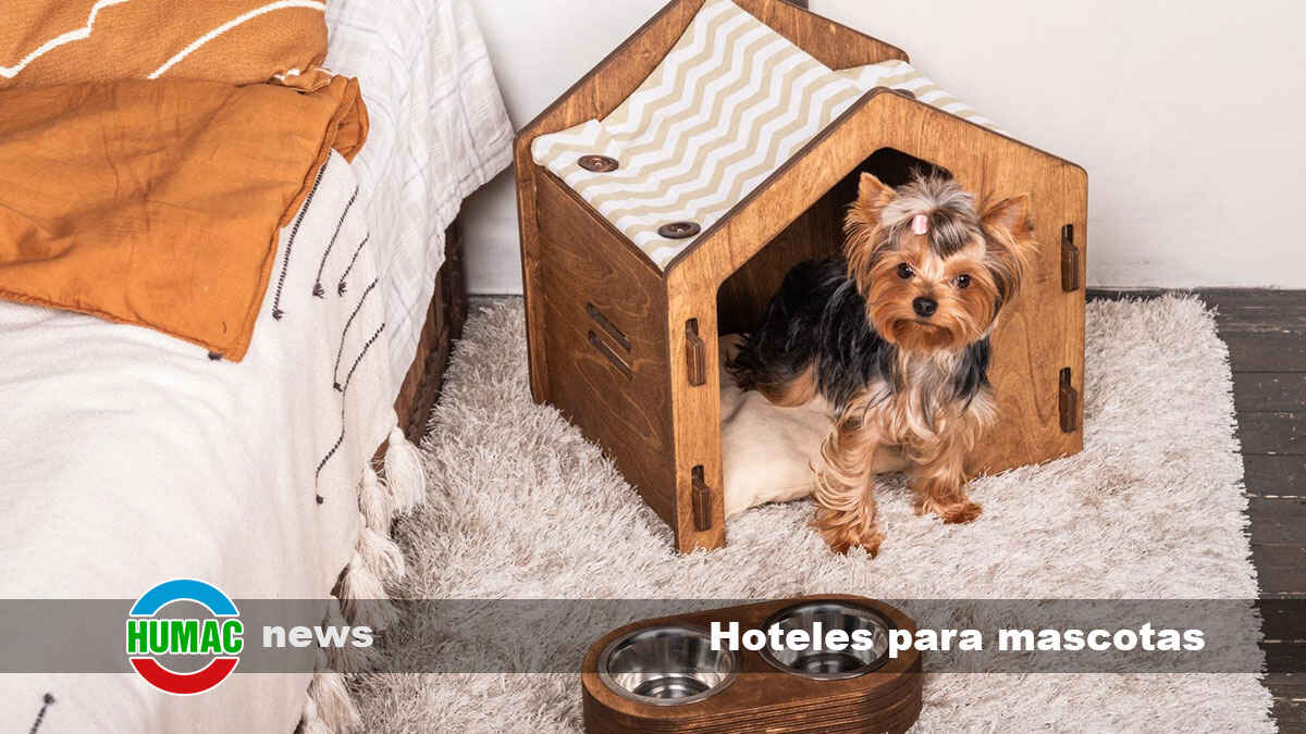 Hoteles para mascotas