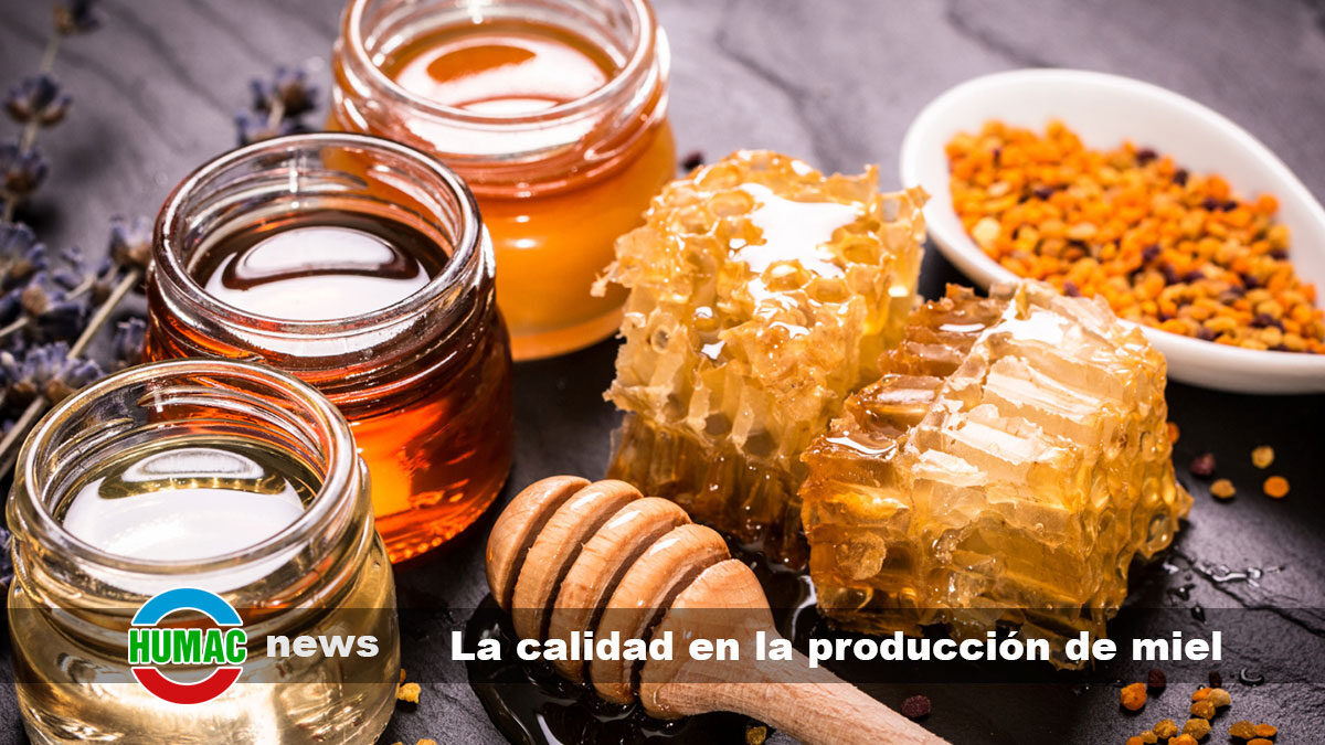 La importancia de calidad en la producción de miel