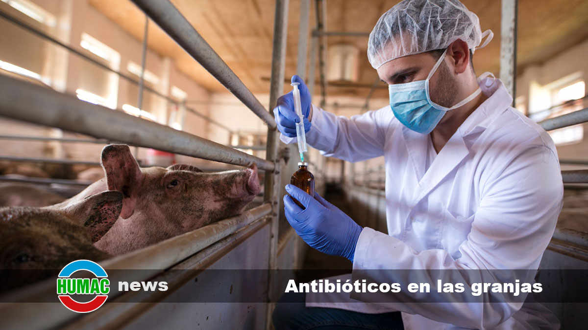 La nueva regulación de la UE sobre antibióticos en las granjas