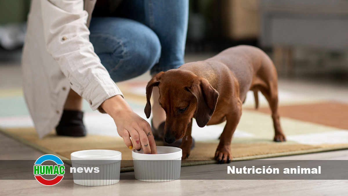 Optimiza la nutrición animal con suplementos orgánicos