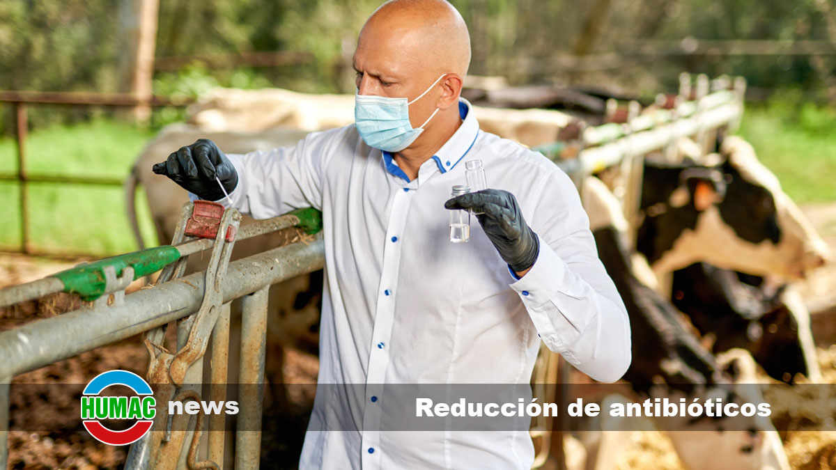 Beneficios ambientales de la reducción de antibióticos en granjas