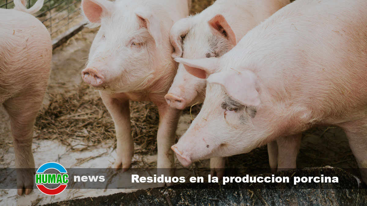 residuos en la produccion porcina