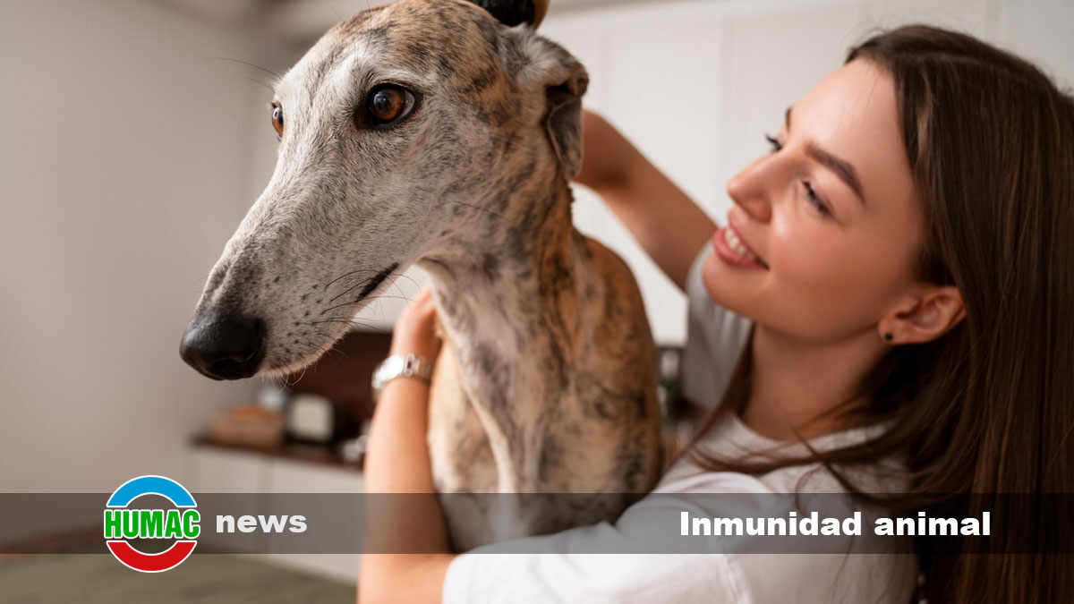 Fortalece la inmunidad animal con ácidos húmicos