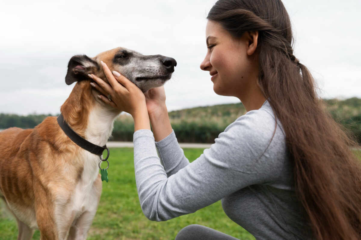 Intuición canina: ¿Pueden los perros distinguir a las malas personas?