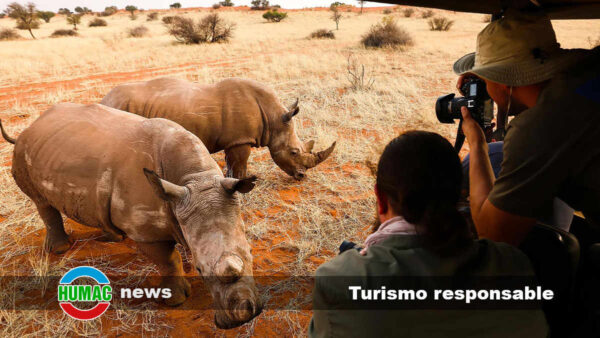 Turismo responsable: Observación de animales en su entorno natural