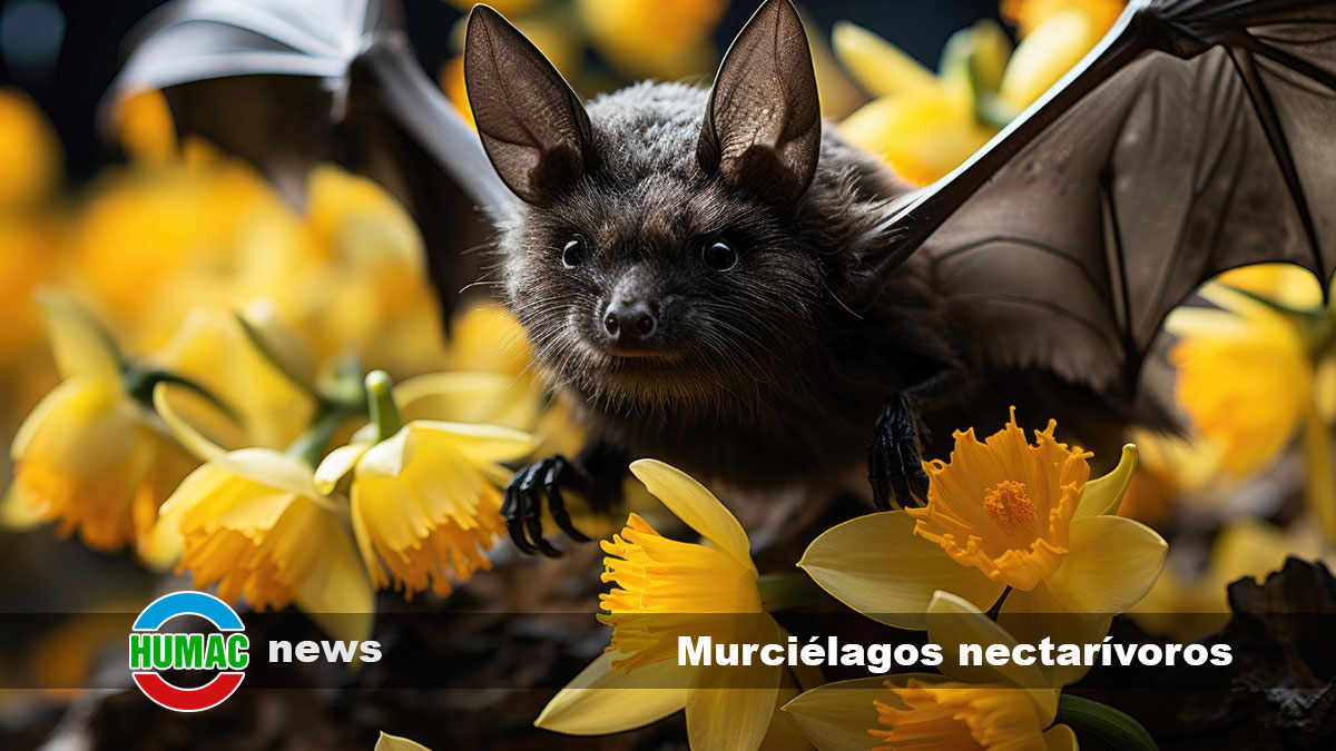 Murciélagos nectarívoros: Polinizadores invaluables