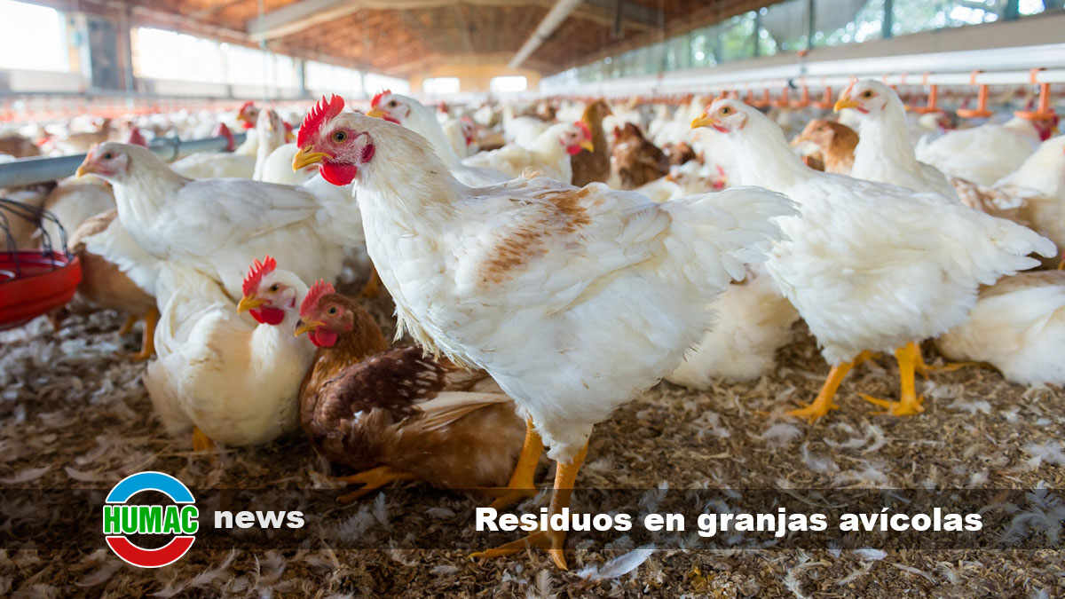 residuos en granjas avícolas