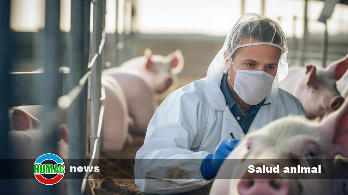 La salud animal en el centro de la limitación de antibióticos en granjas de la UE