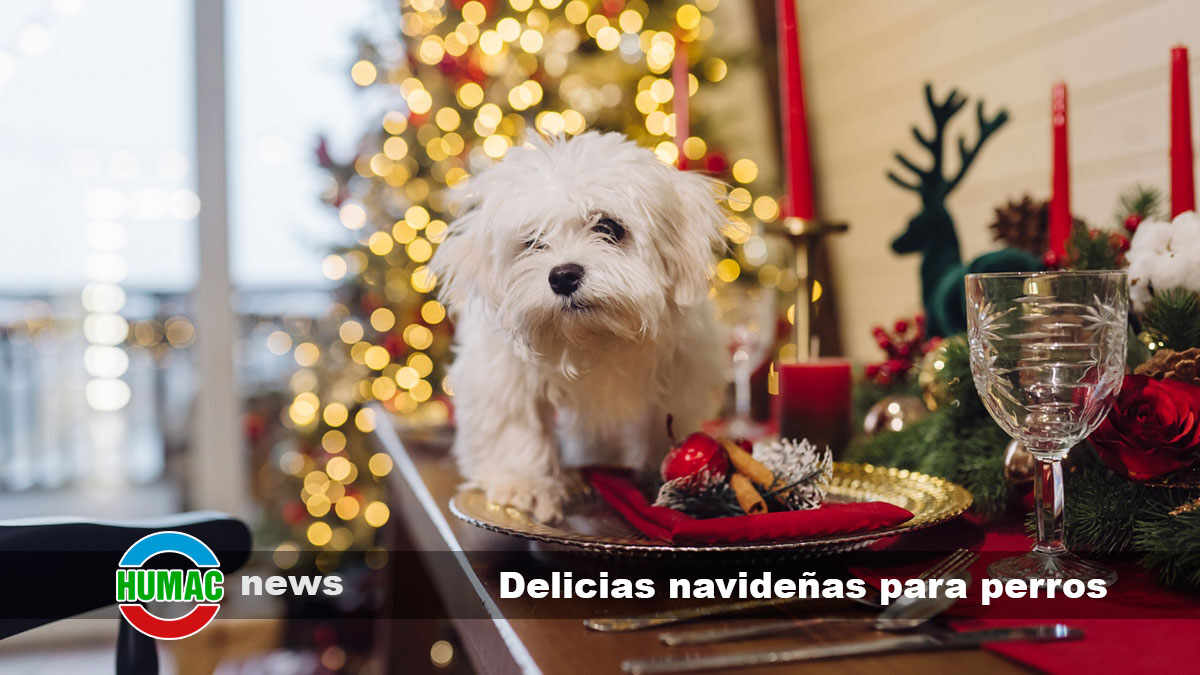 delicias navideñas para perros