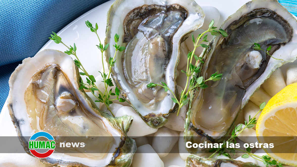 Cocinar las ostras: Cómo preparar esta deliciosa, recetas riquas y cómo comerlas